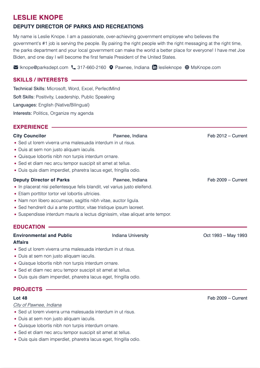CV example